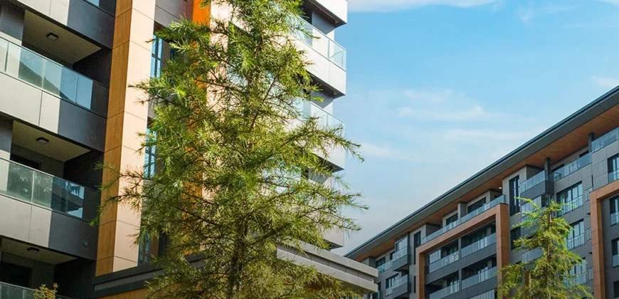 i-225 | ÇAMLI VADİ