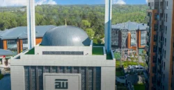 i-225 | ÇAMLI VADİ