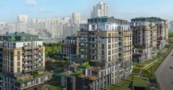 i-240 | Ebruli Kayasehir