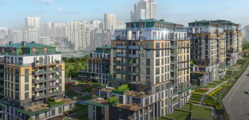 i-240 | Ebruli Kayasehir