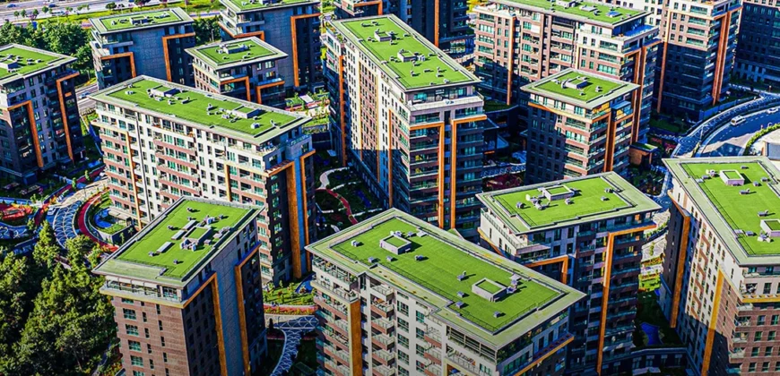 i-249 – ÇAMLI VADİ