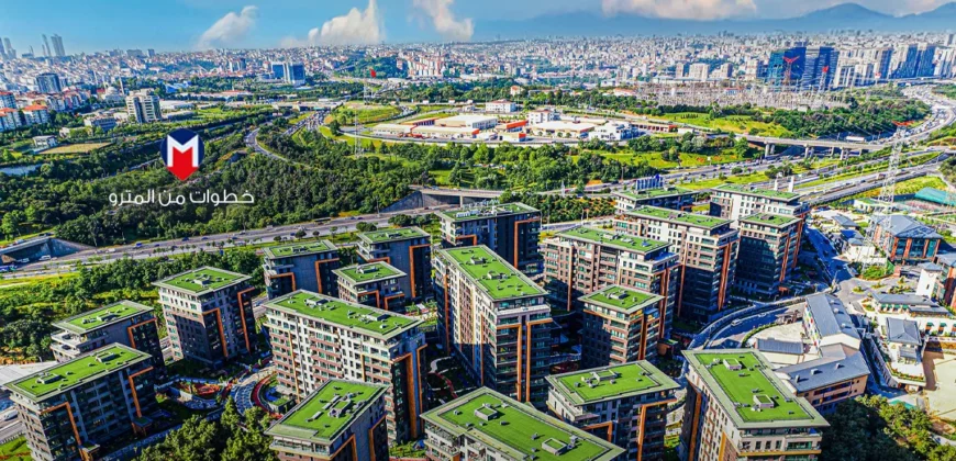 i-249 – ÇAMLI VADİ