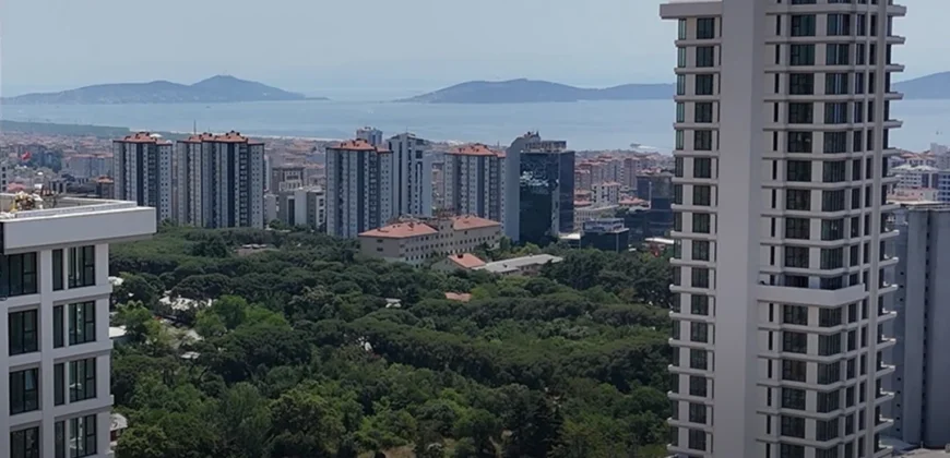 i-290 / مشروع سكني متكامل في قلب أتاشهير